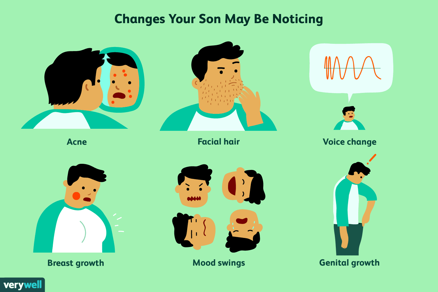 հասունացում 2